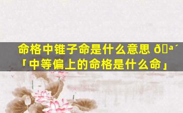 命格中锥子命是什么意思 🪴 「中等偏上的命格是什么命」